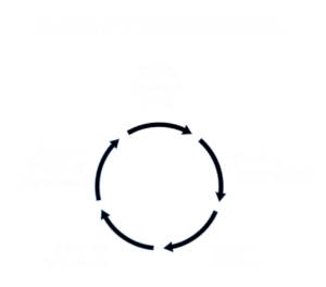 Why Custom API Development is Crucial for E-commerce Business Growth